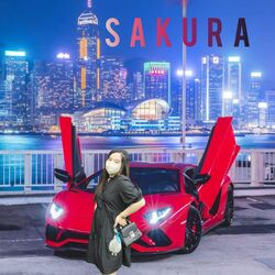 Cover of AMUI MOO
