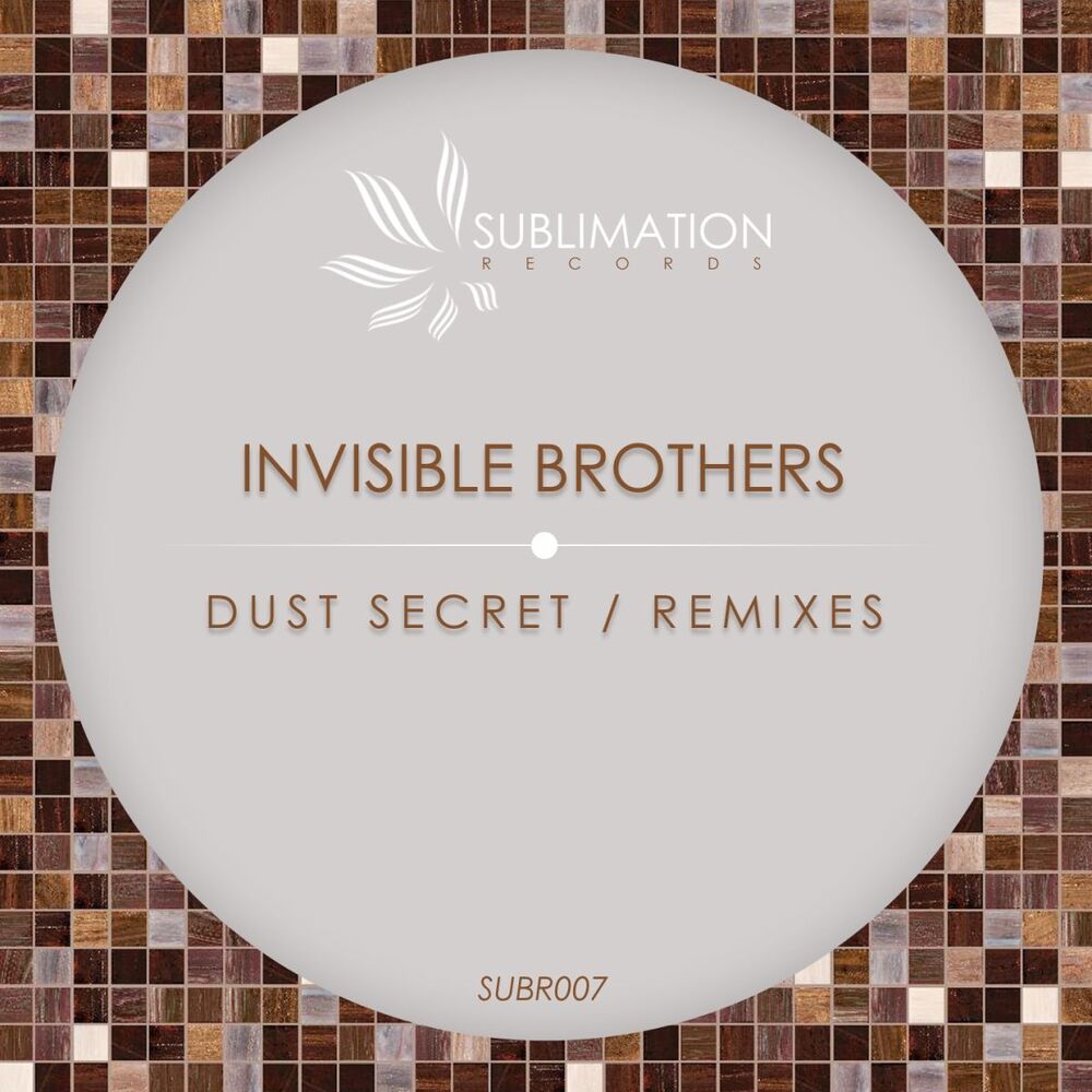 Picture of Dust Secret (Remixes)