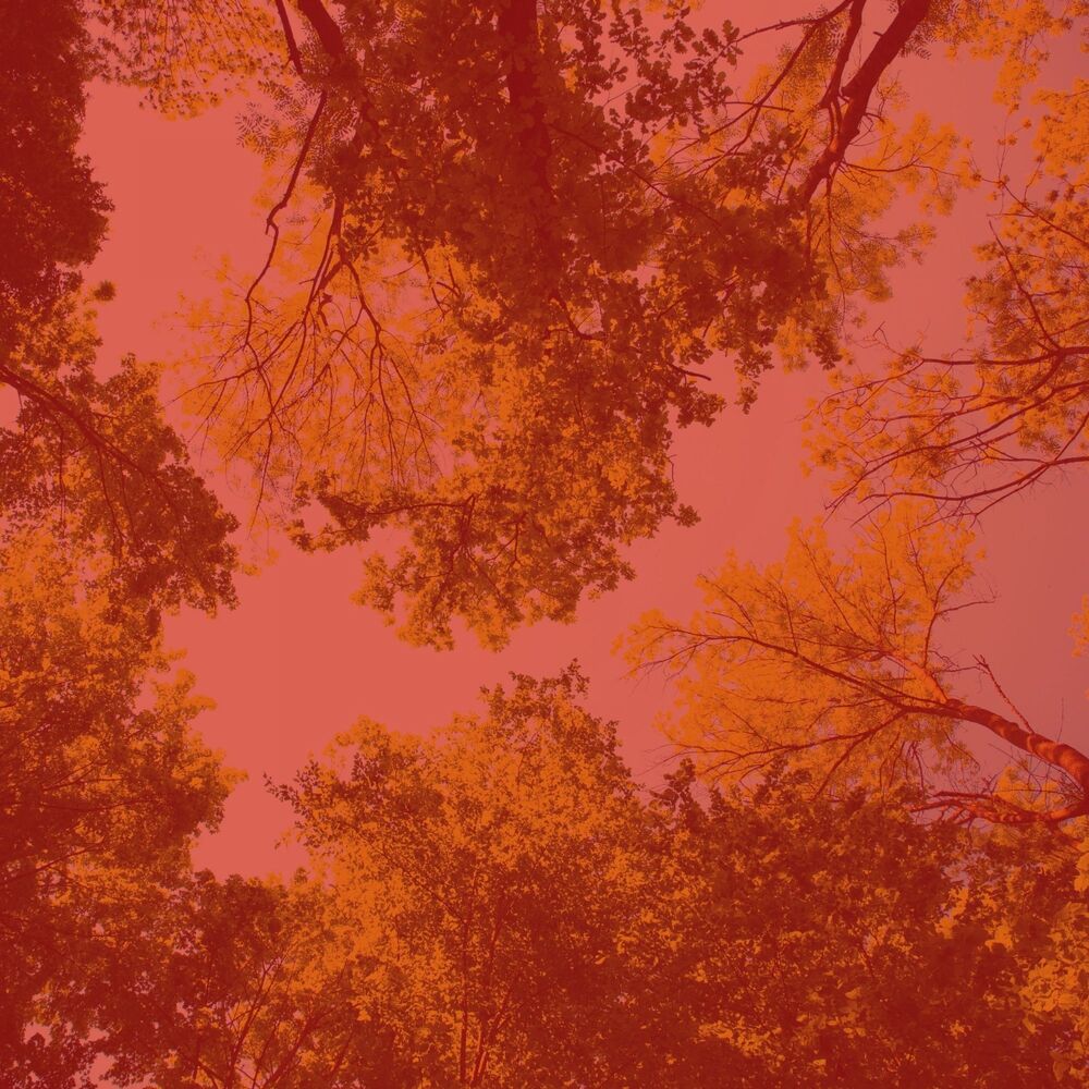 Picture of Backdrop for Rejuvenation - Cool Trumpet Jazz