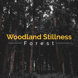 Cover of Woodland Stillness