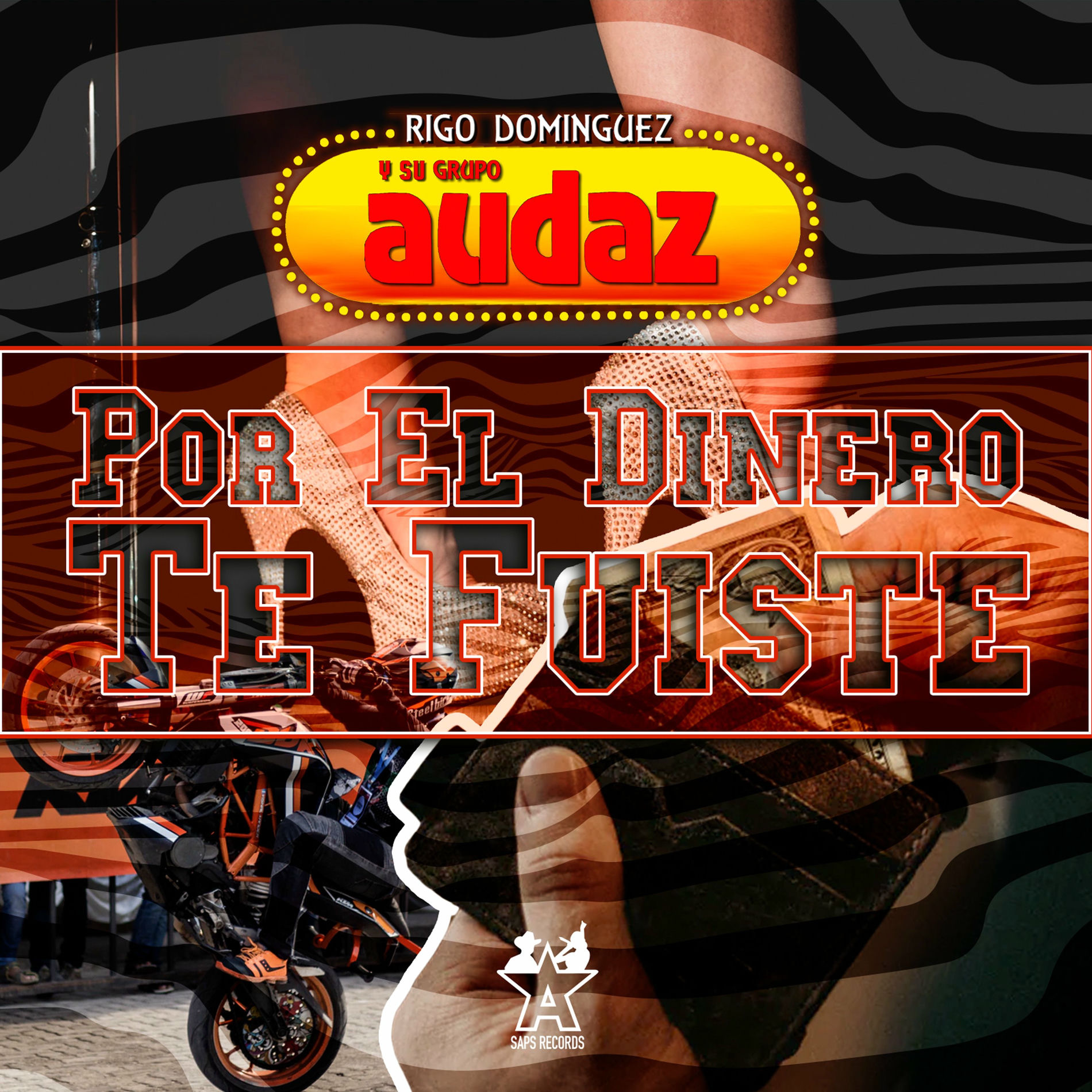 Album cover of Por el Dinero Te Fuiste