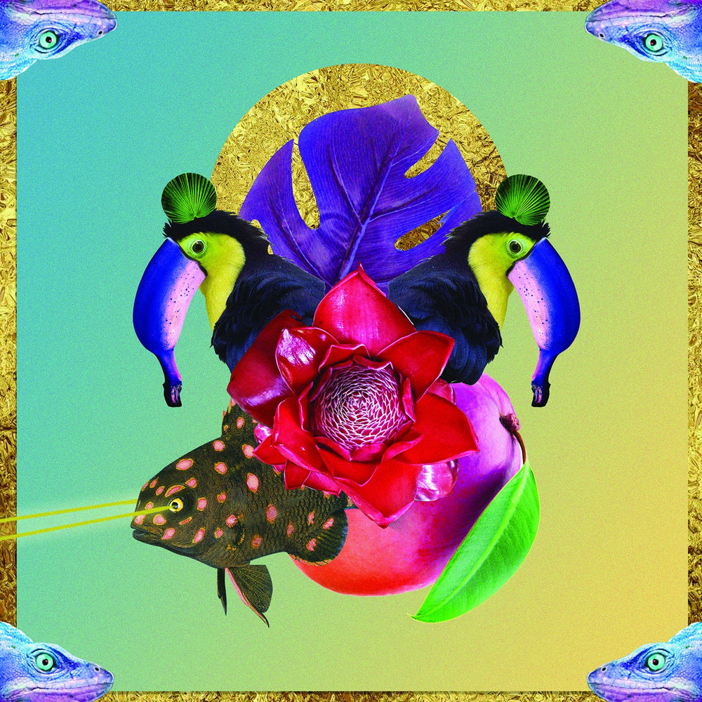 Album artwork for Funky Chicken by AMD