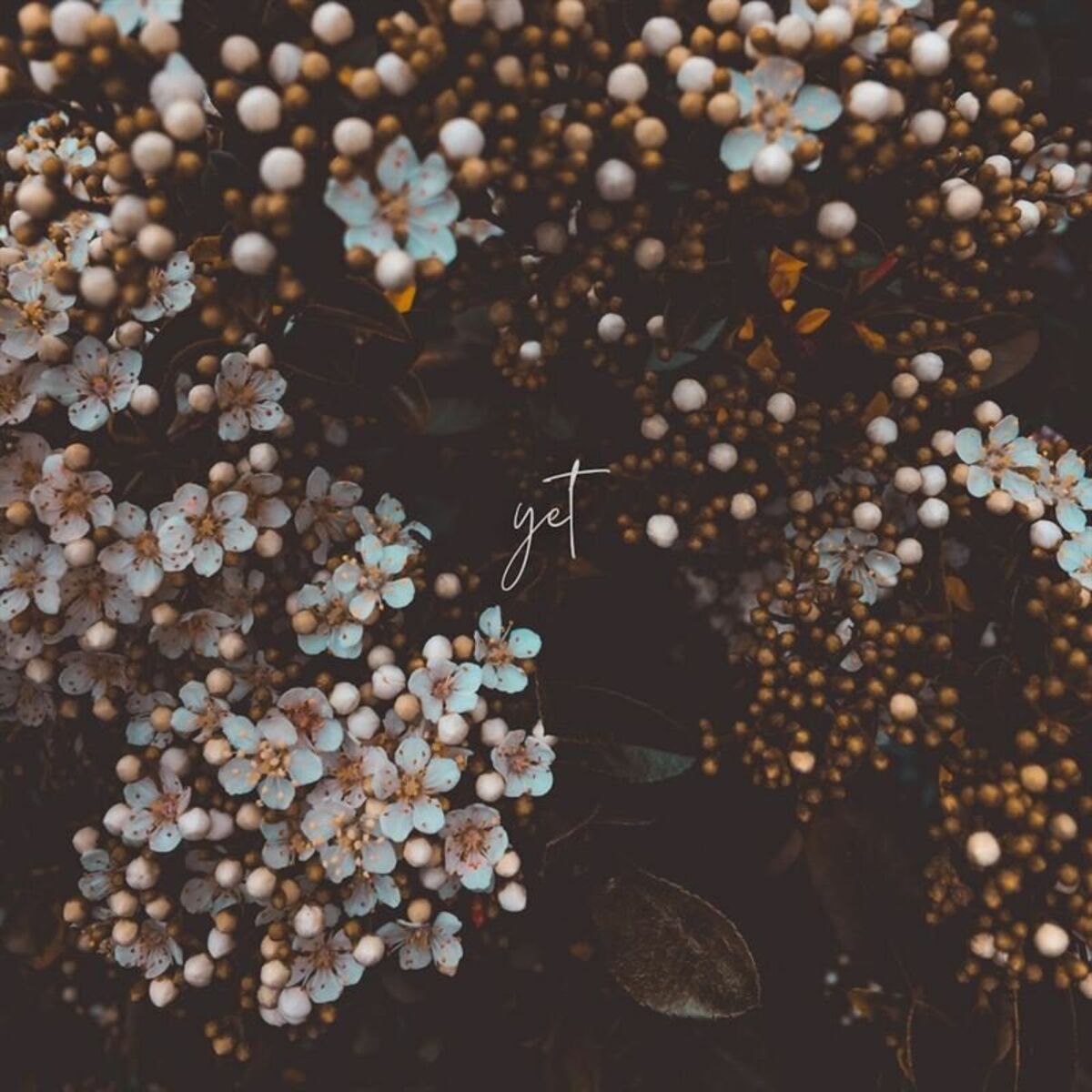 Album cover of Yet