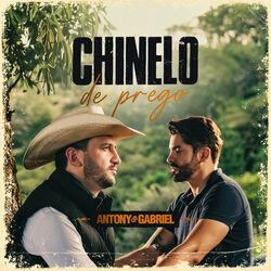 Cover of Chinelo de Prego