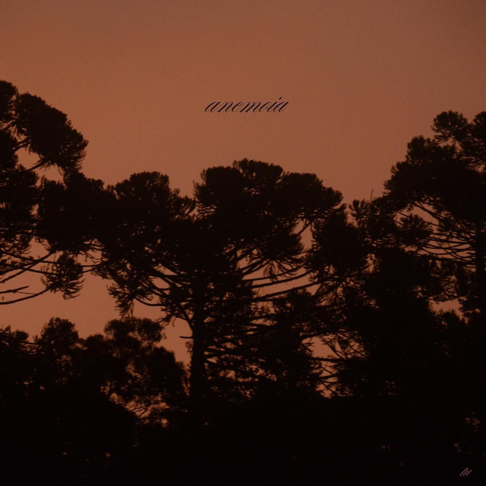 anemoia cover