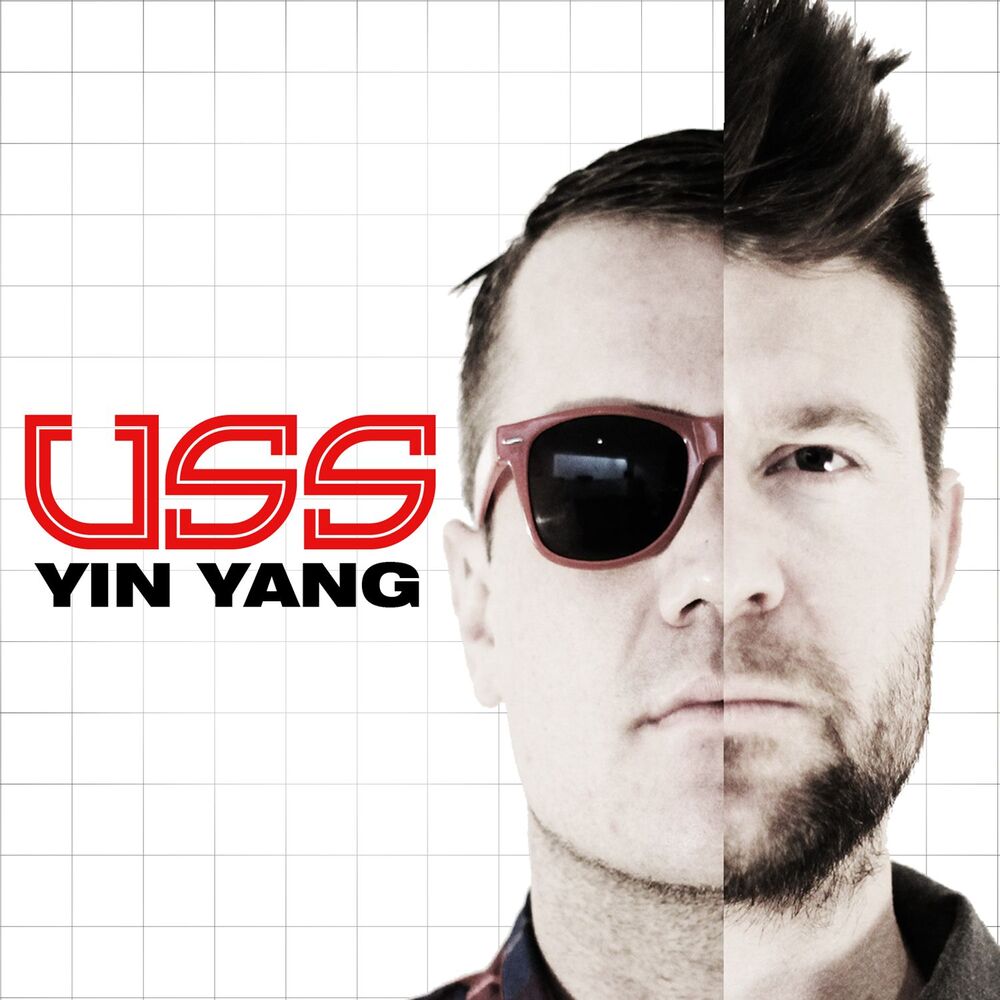 Picture of Yin Yang