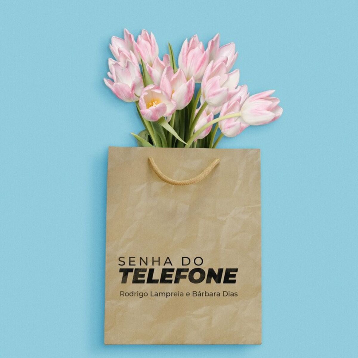 Album cover of Senha do Telefone