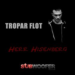 Cover of Herr Hisenberg
