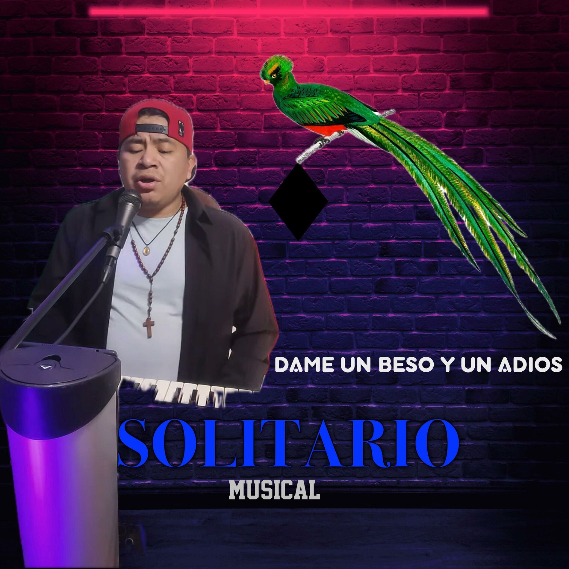 Album cover of dame un beso y dime adios solitario musical (En vivo)