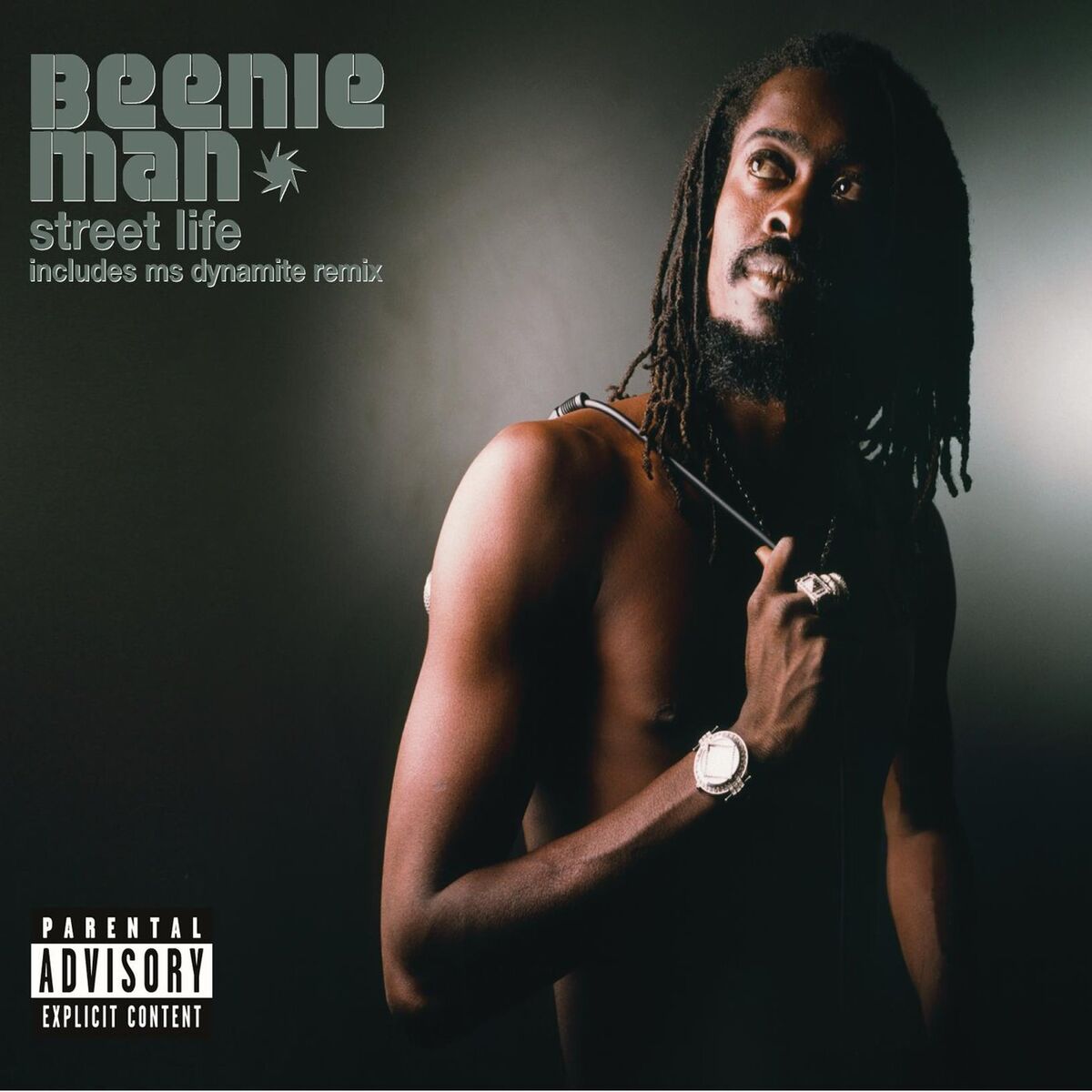 Album cover of Street Life