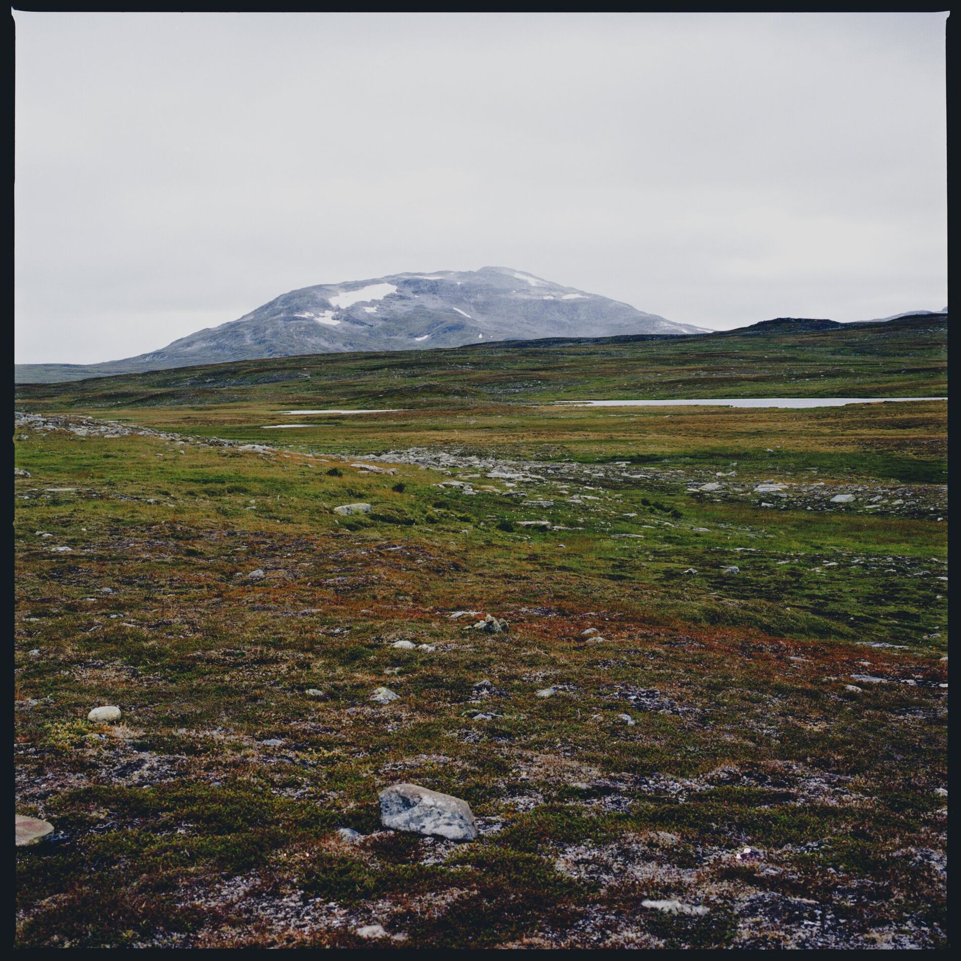 Album cover of Bleak