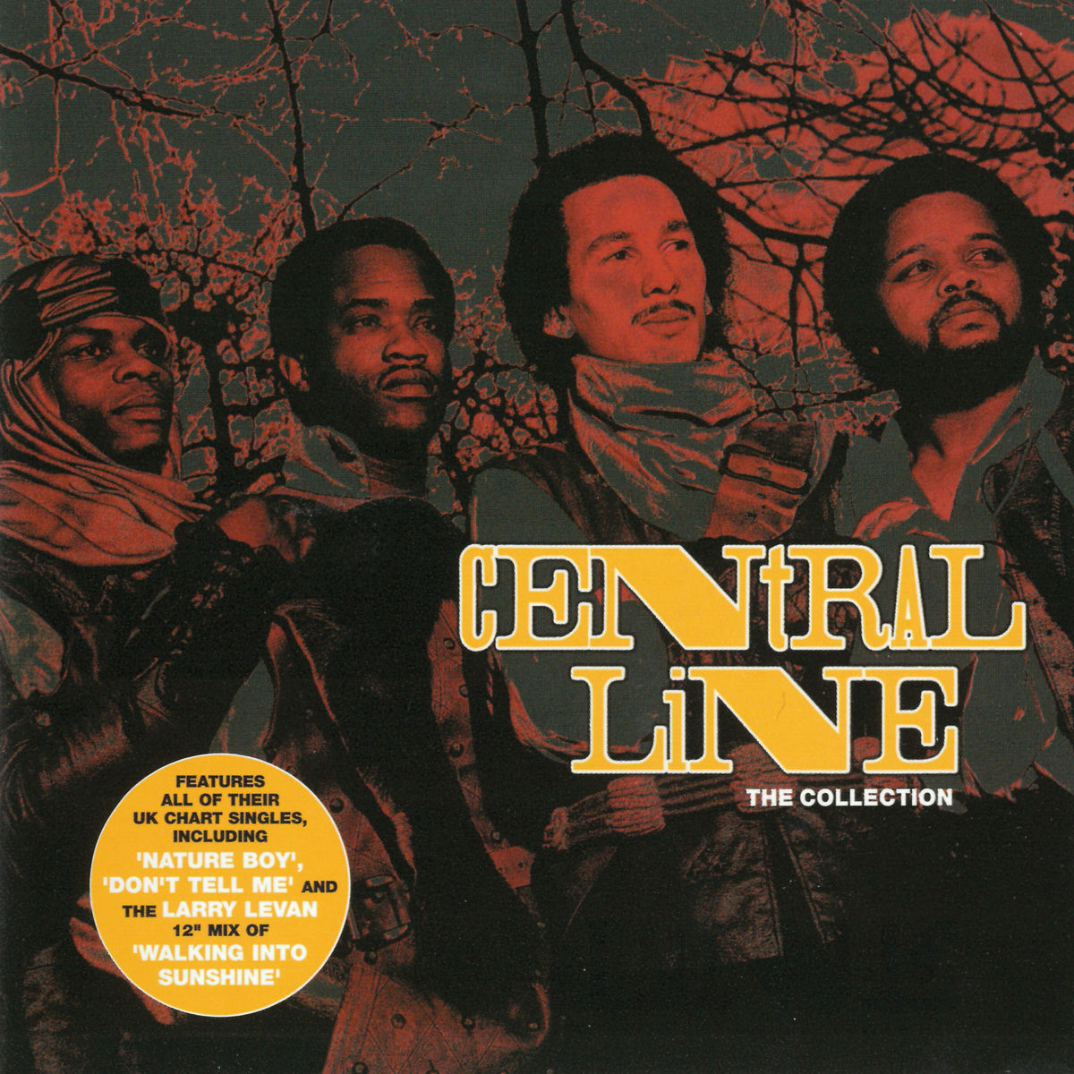 Album cover of The Collection