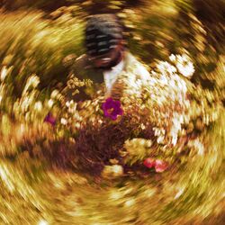 Cover of dehydrate (WOOLFSON Remix)