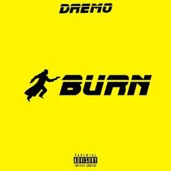 Cover of Burn