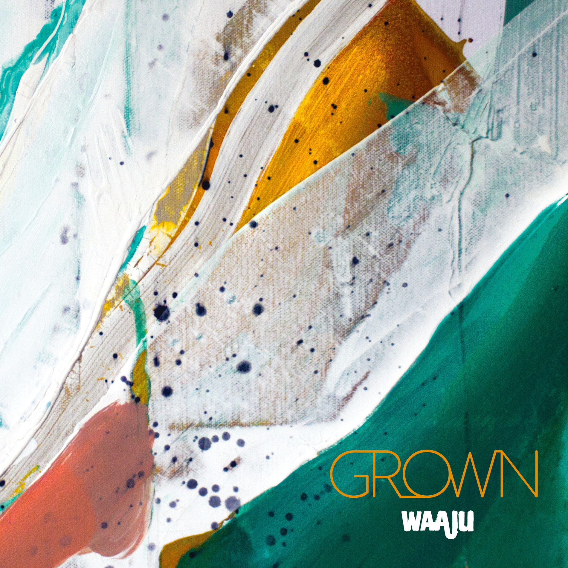Album cover of Grown