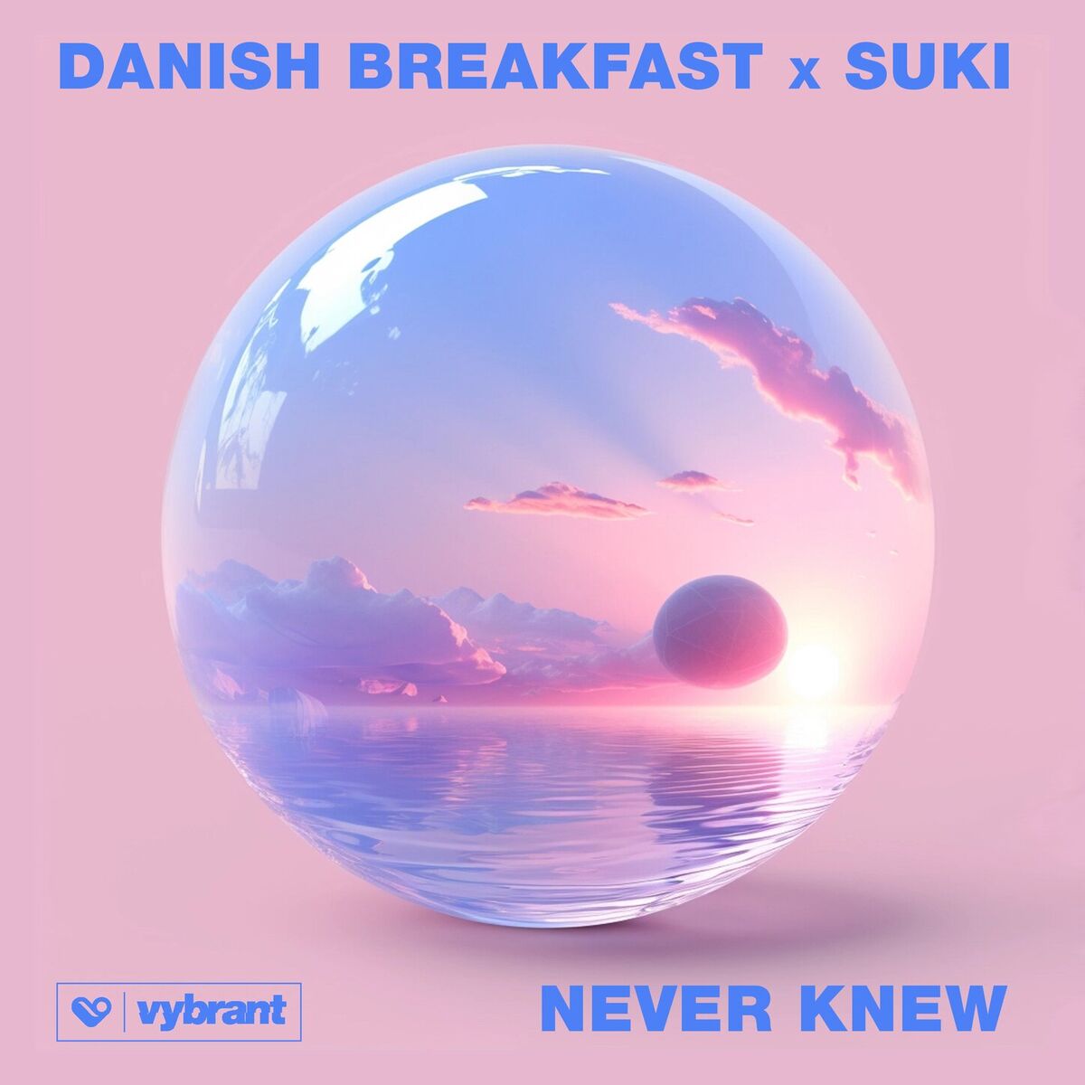 Album cover of Never Knew