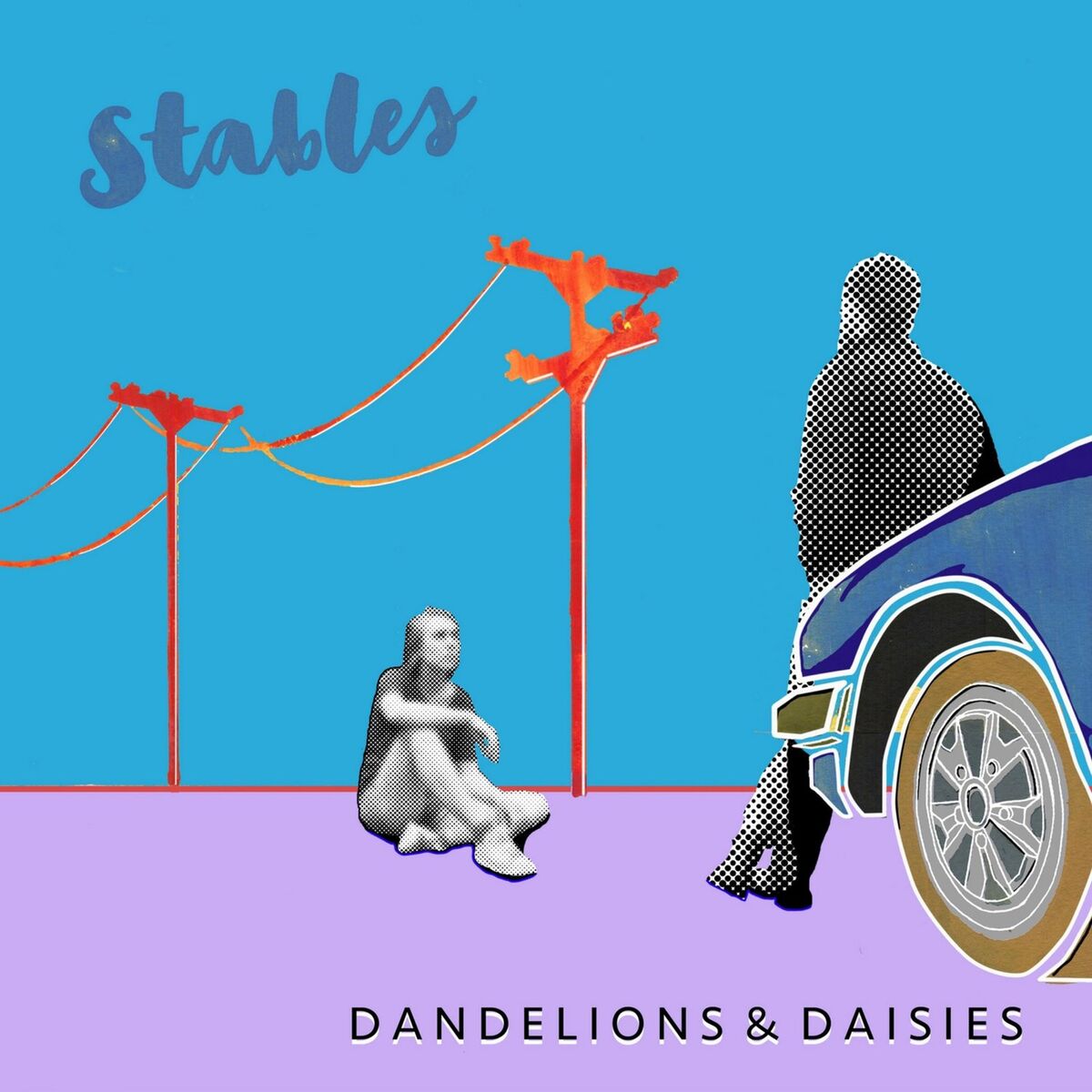 Album cover of Dandelions & Daisies