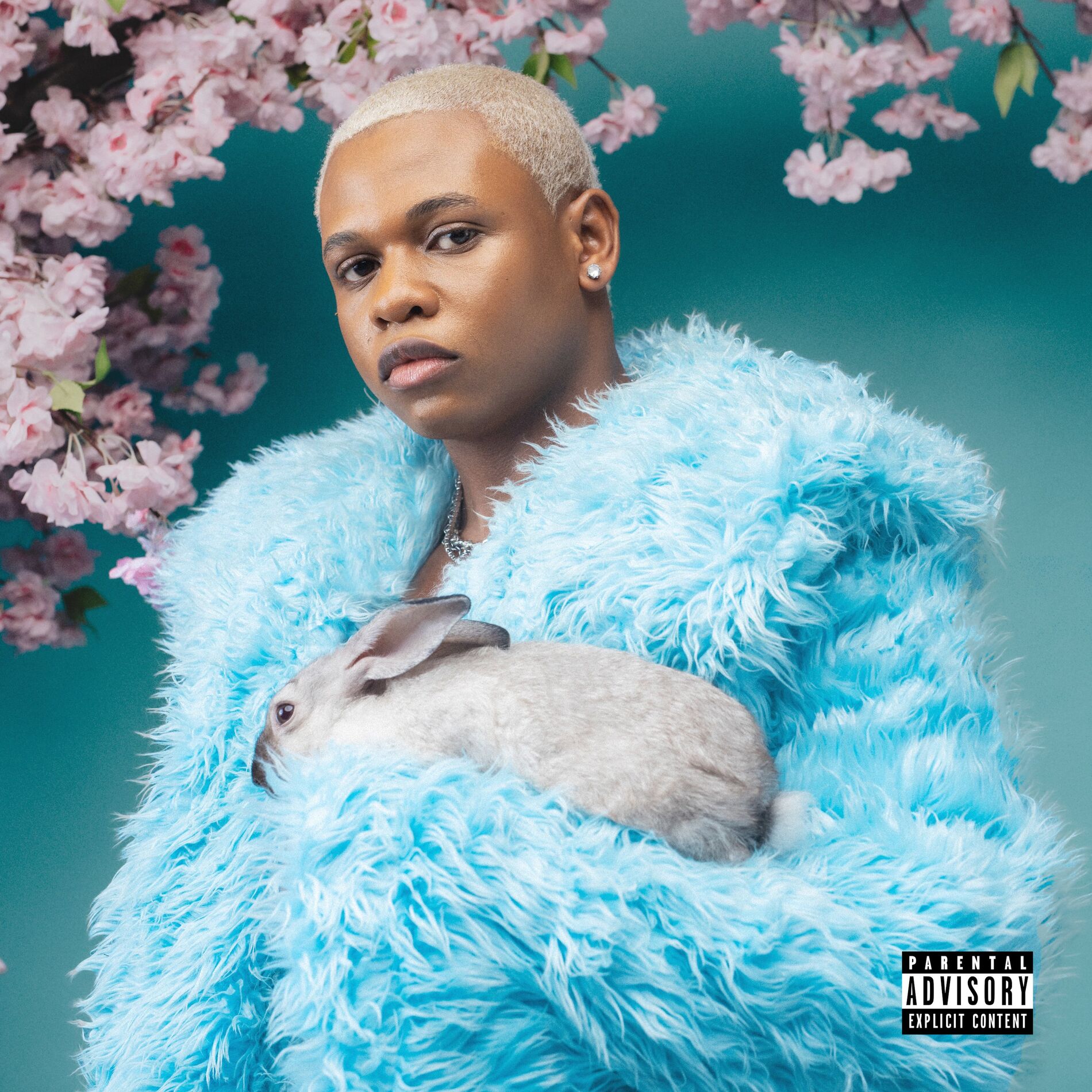 Album cover of Nobody