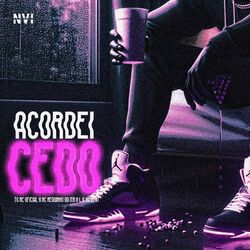 Cover of Acordei Cedo