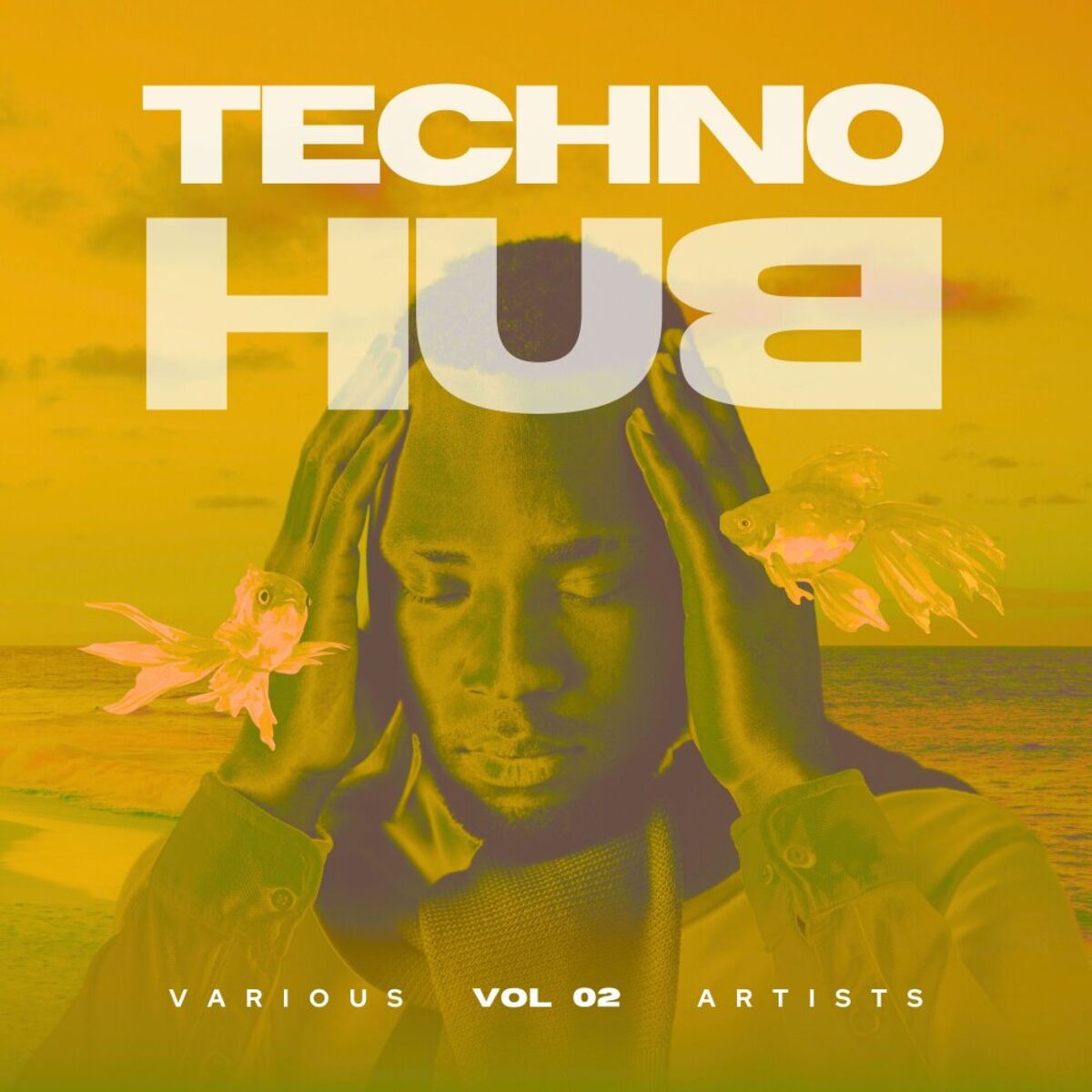 Album cover of Techno Hub, Vol. 2