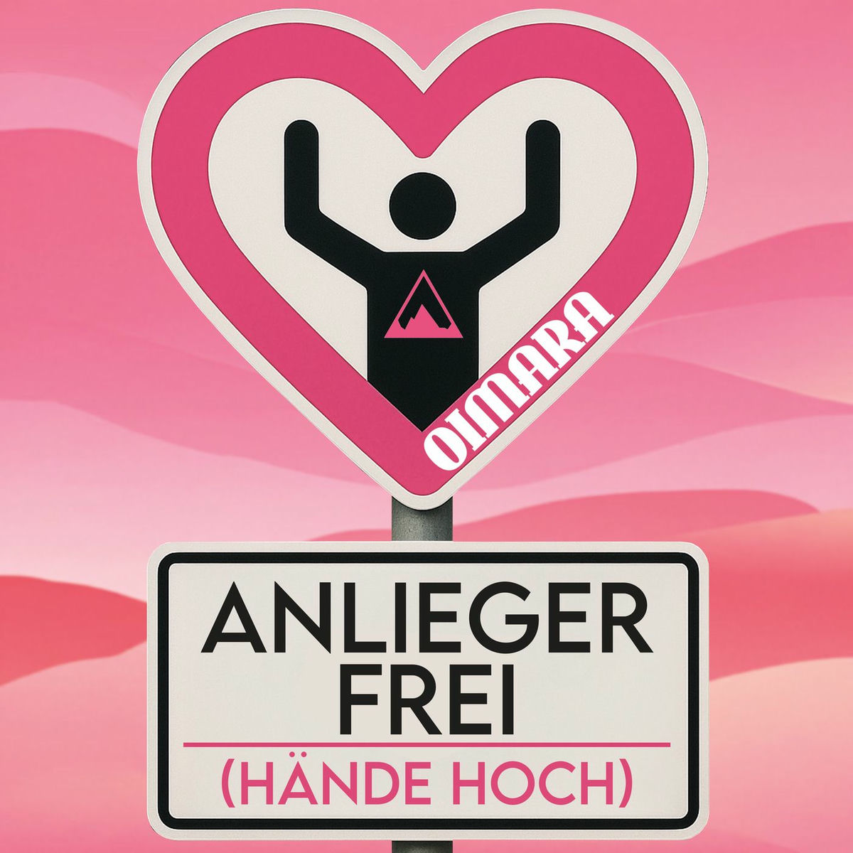Album cover of Anlieger frei (Hände hoch)
