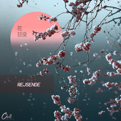 Pochette album