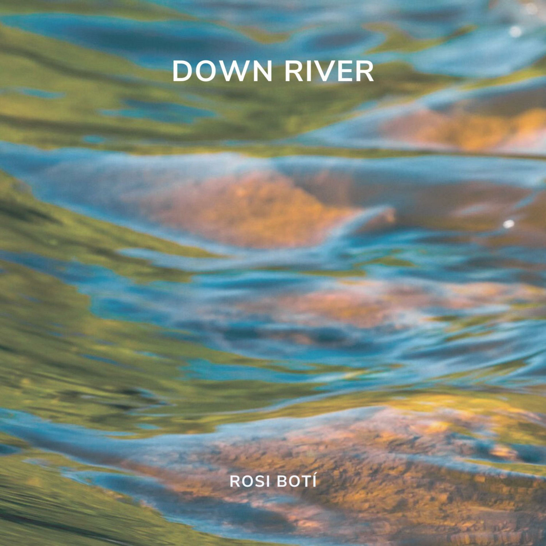 Album cover of Down River