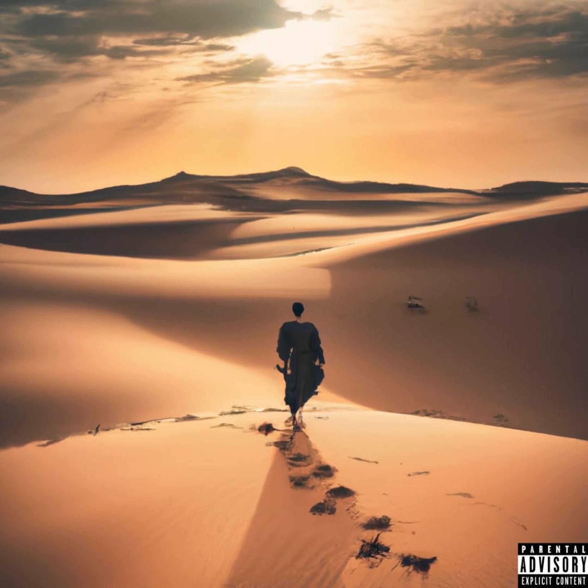 Album cover of Nomad