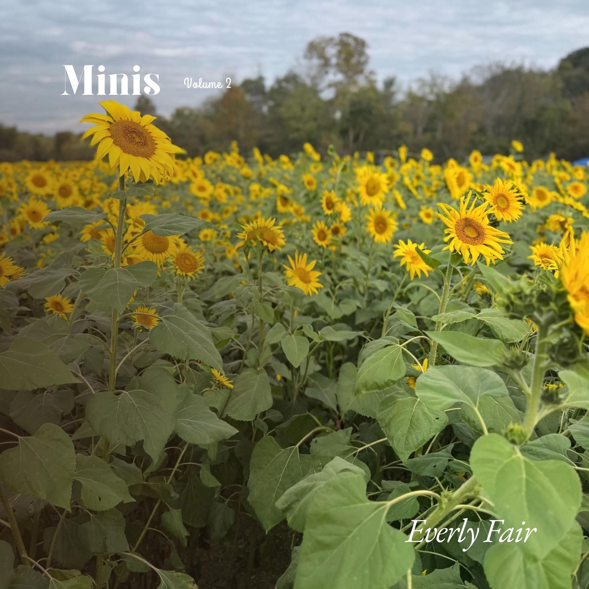 Album cover of How Will I Know (Acoustic)