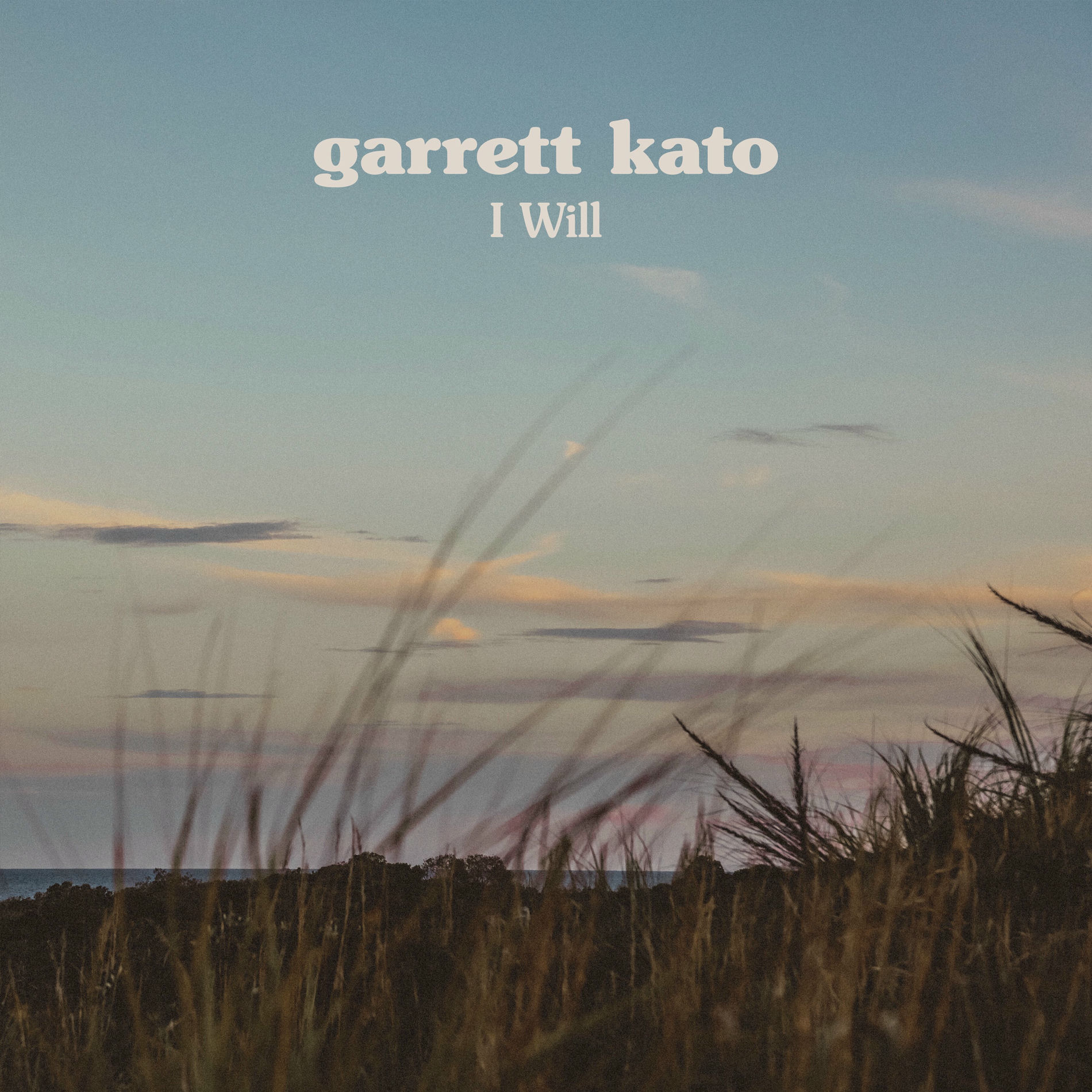 Album cover of I Will