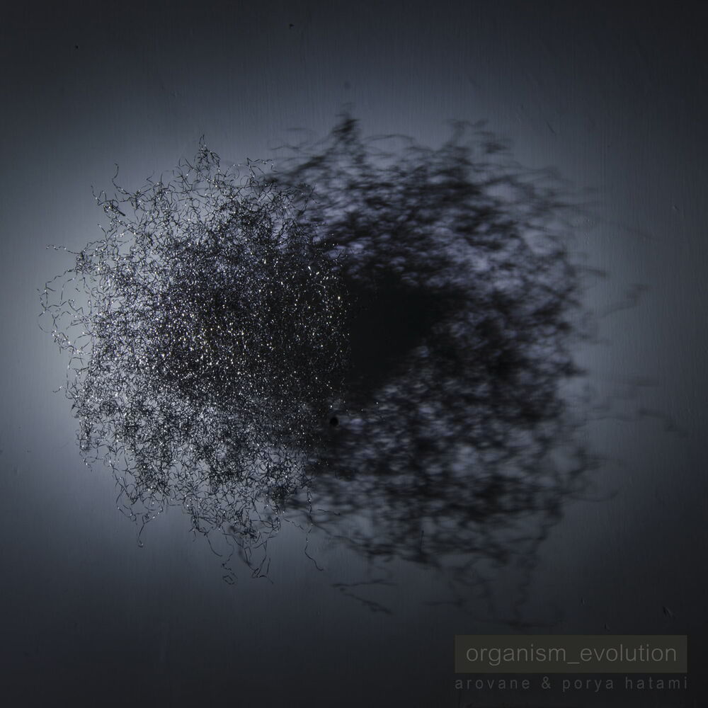 Picture of Organism_evolution