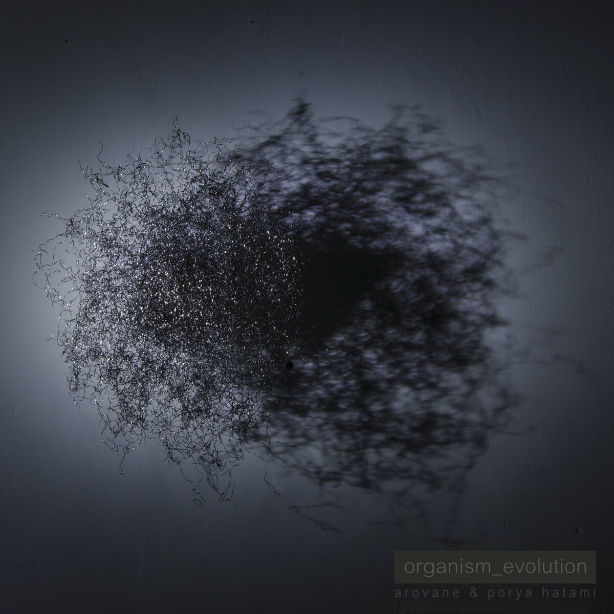 Album cover of Organism_evolution
