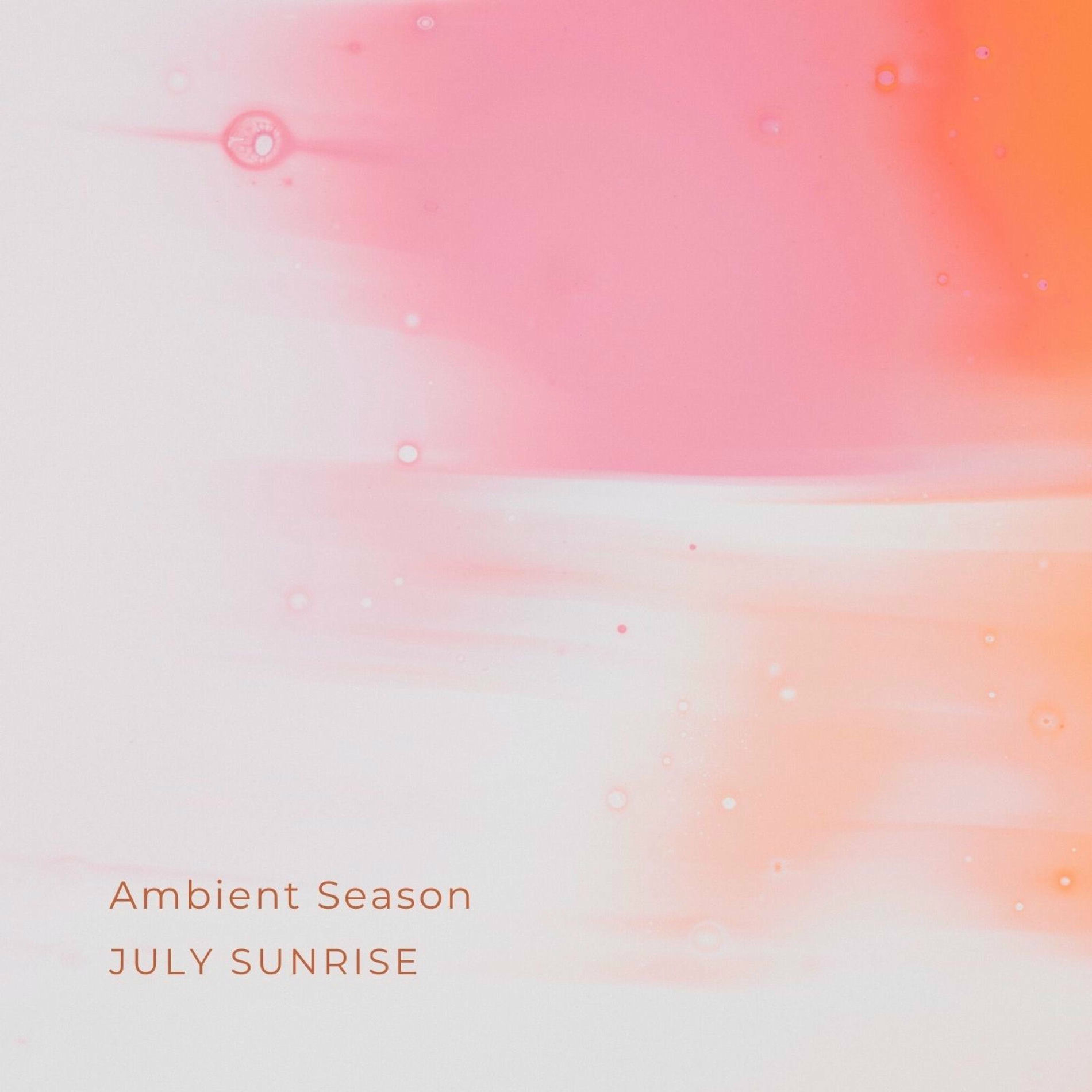 Album cover of Ambient Season
