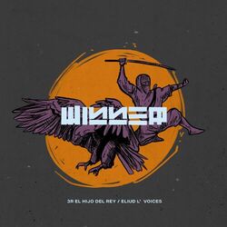 Cover of Winner