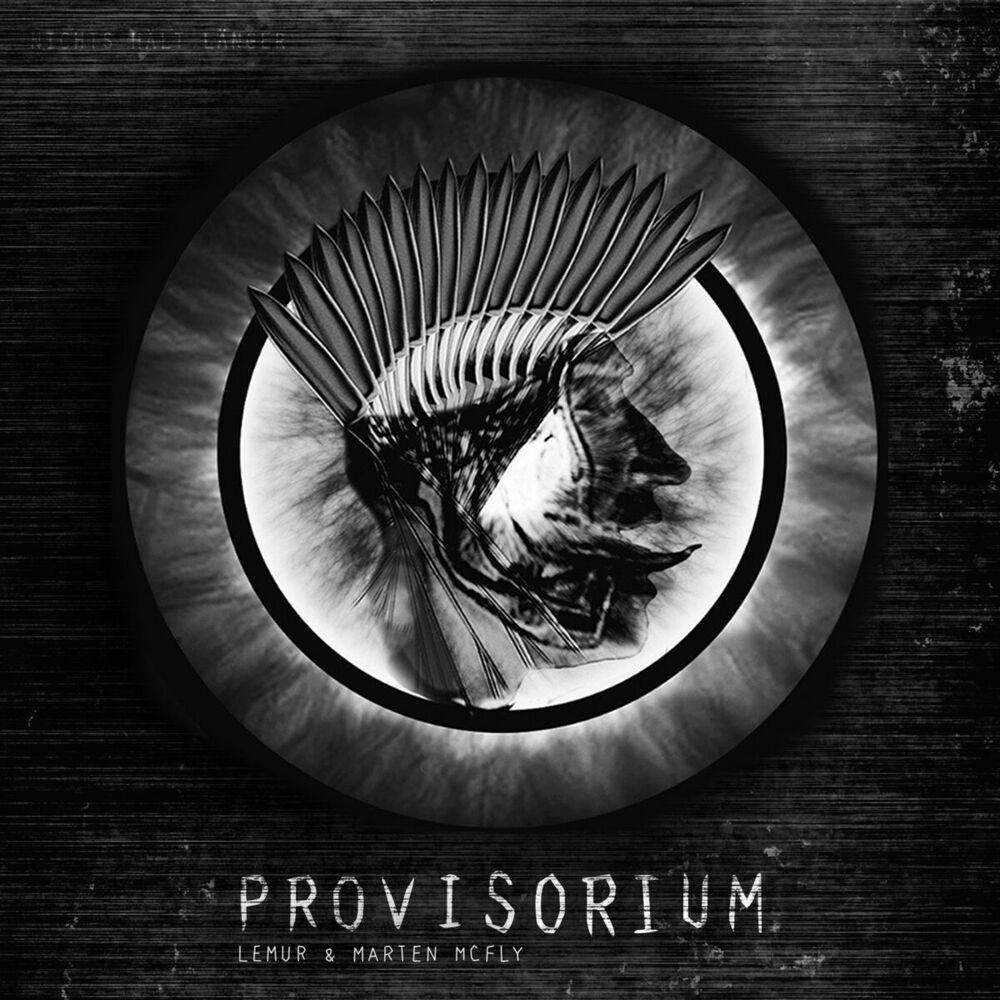 Picture of Provisorium