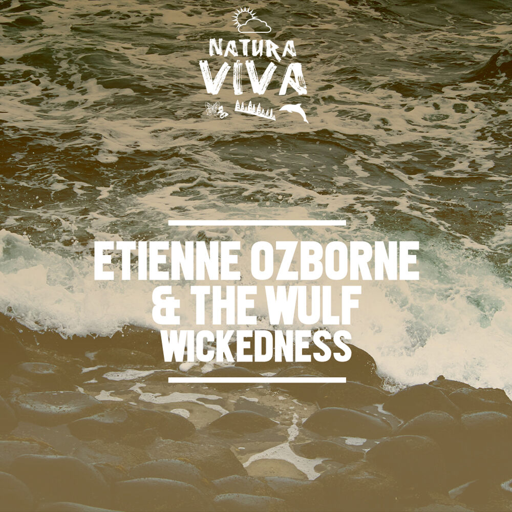 Picture of Wickedness