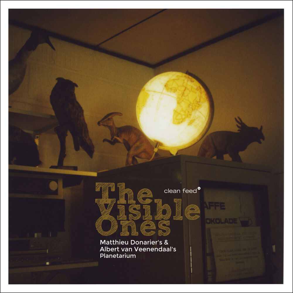 Picture of The Visible Ones