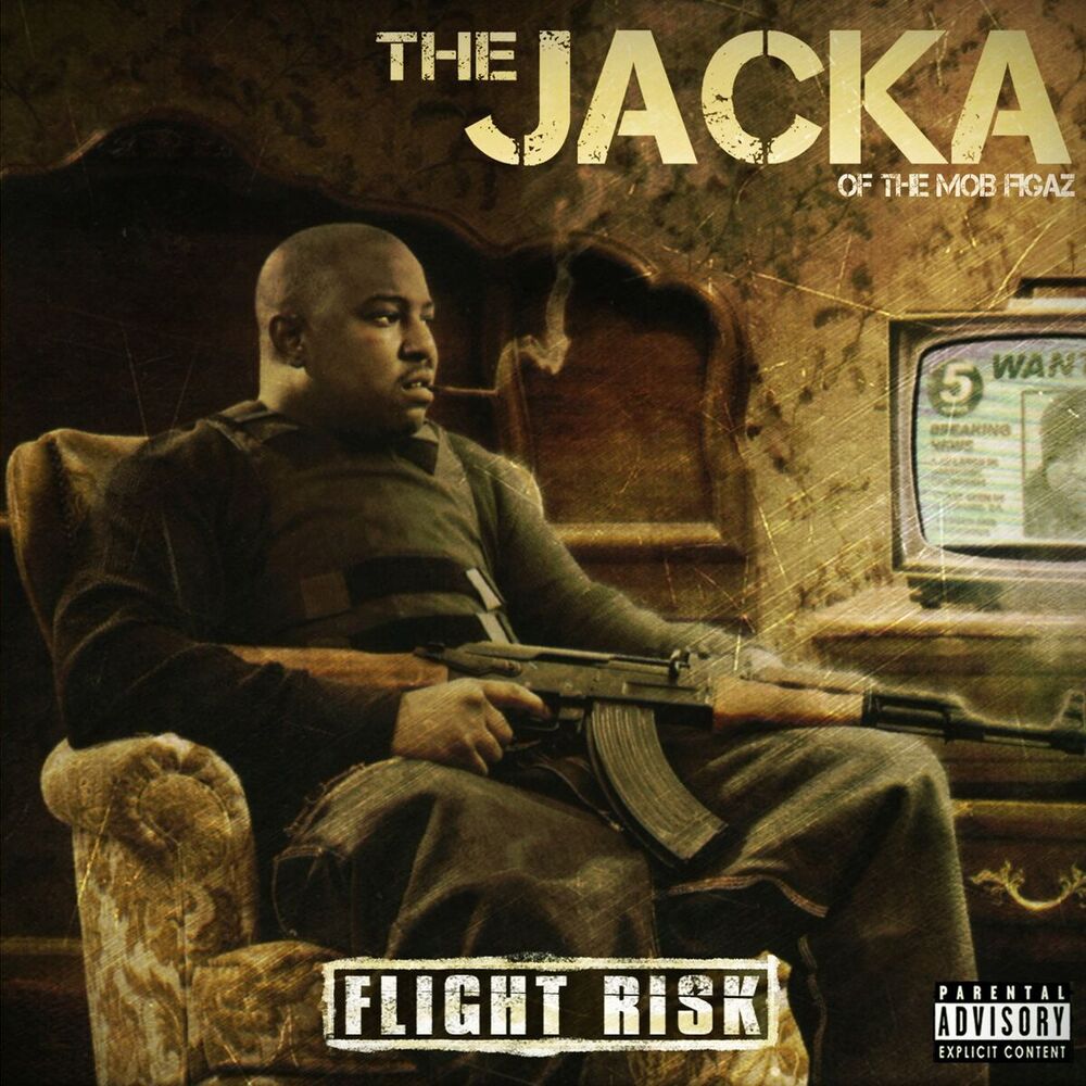 Picture of Flight Risk