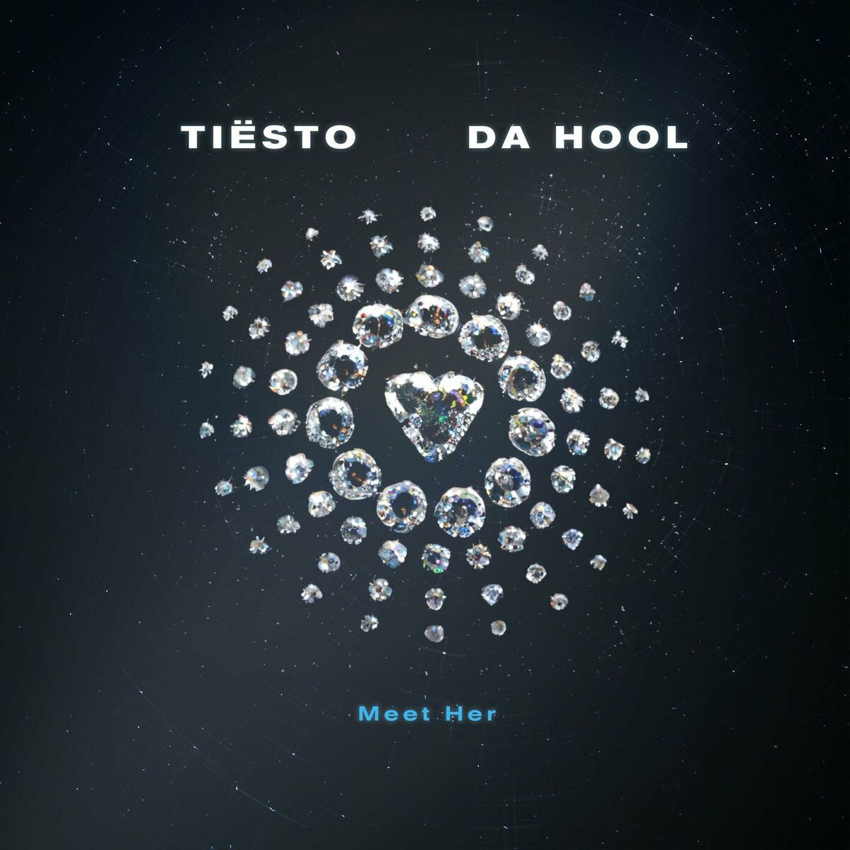 Album cover of Meet Her