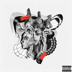 Cover of Jungle and Animals within