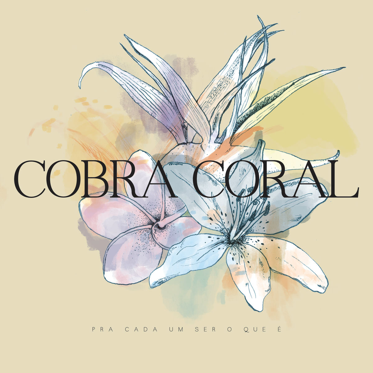 Album cover of Manhã