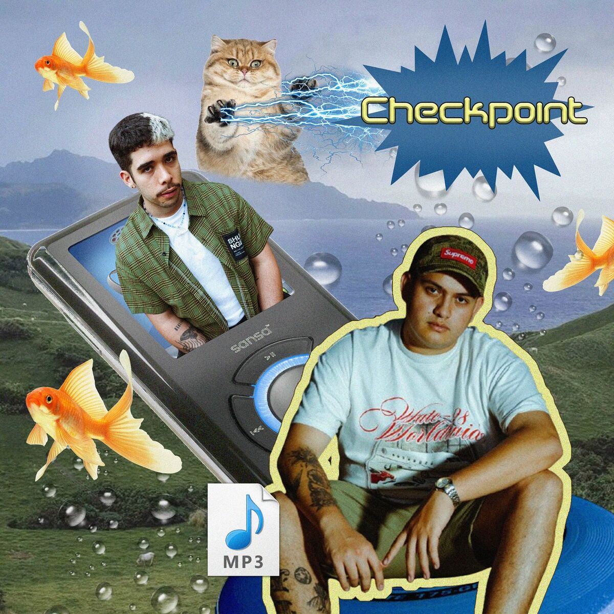 Album cover of Checkpoint