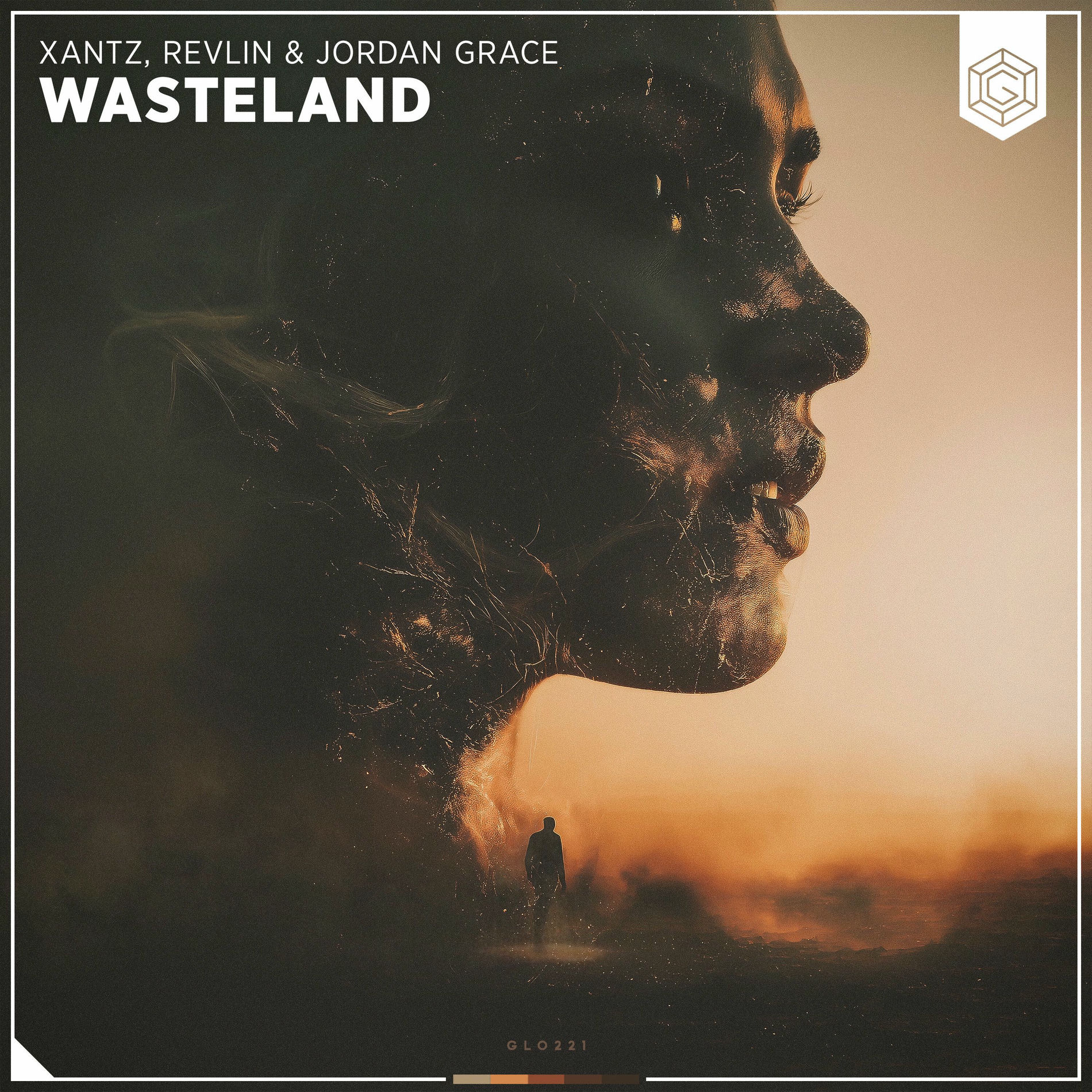 Album cover of Wasteland