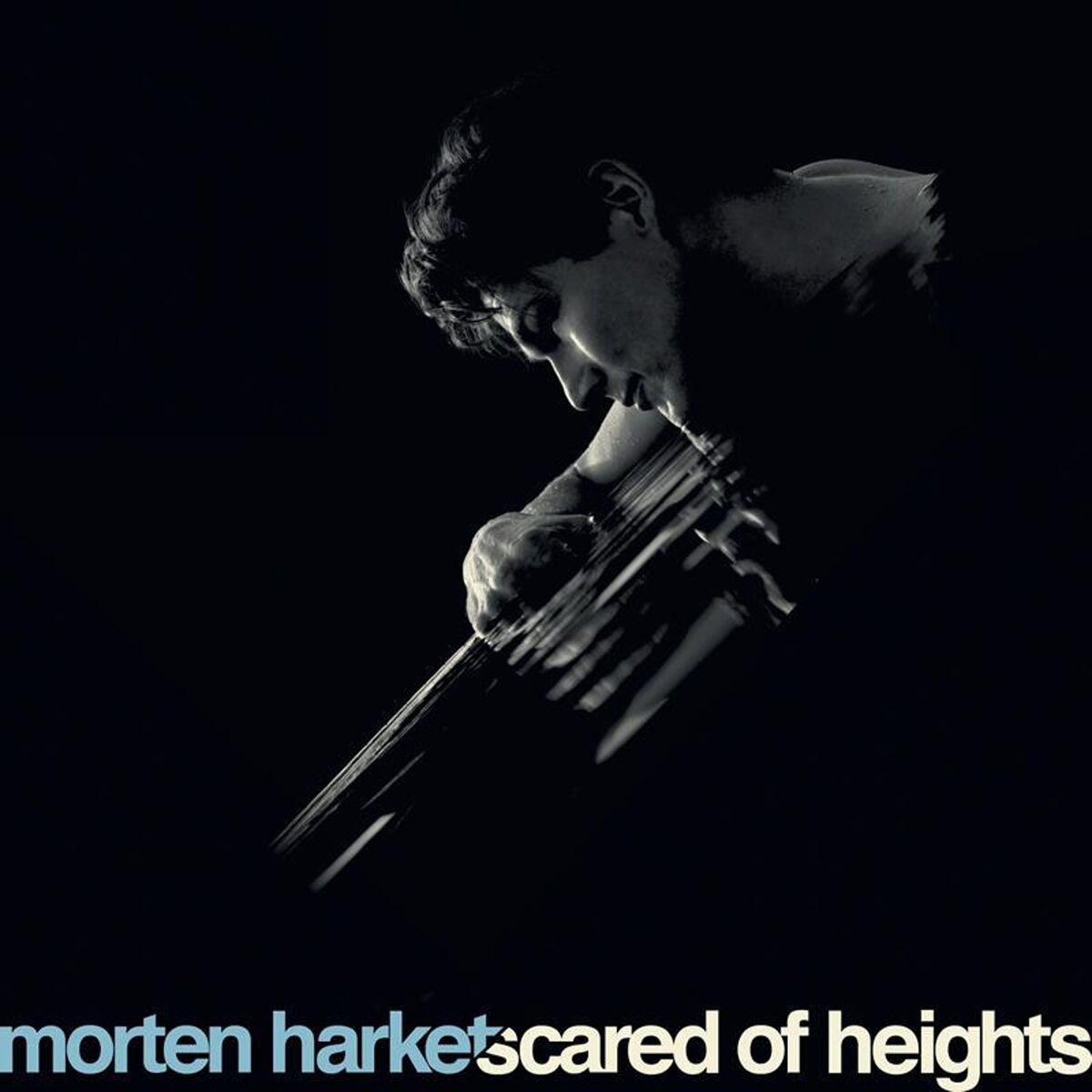Album cover of Scared of Heights