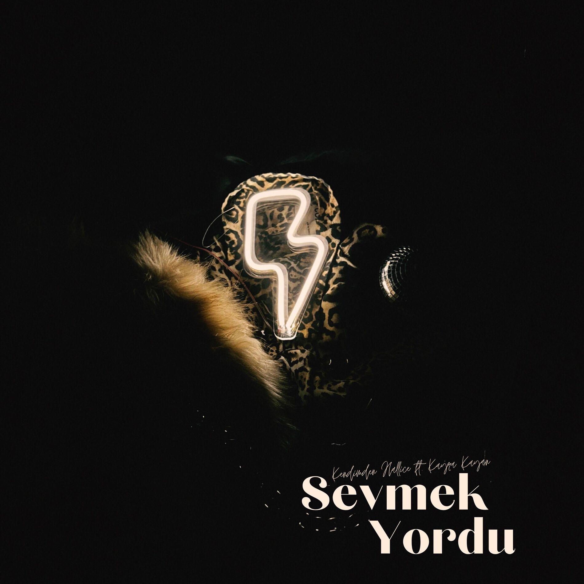 Album cover of Sevmek Yordu