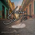 Volar Sin Ti