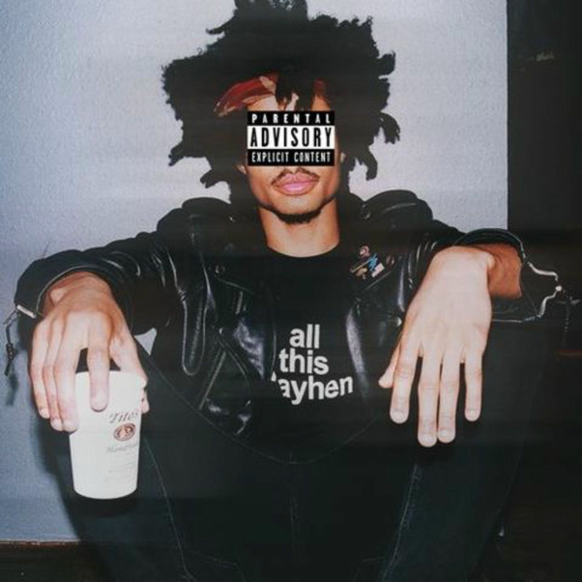 Album cover of Zip Skylark