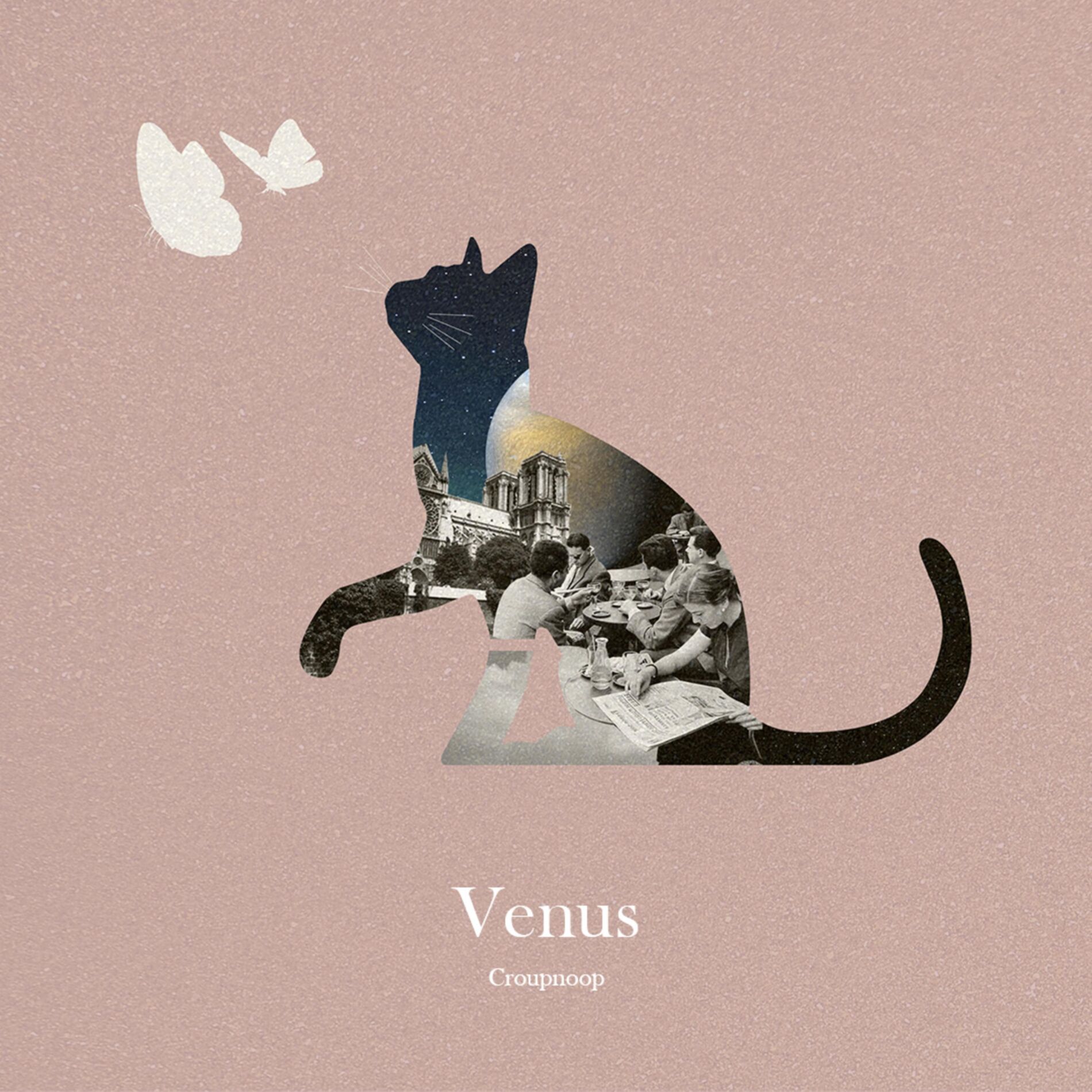 Album cover of Venus