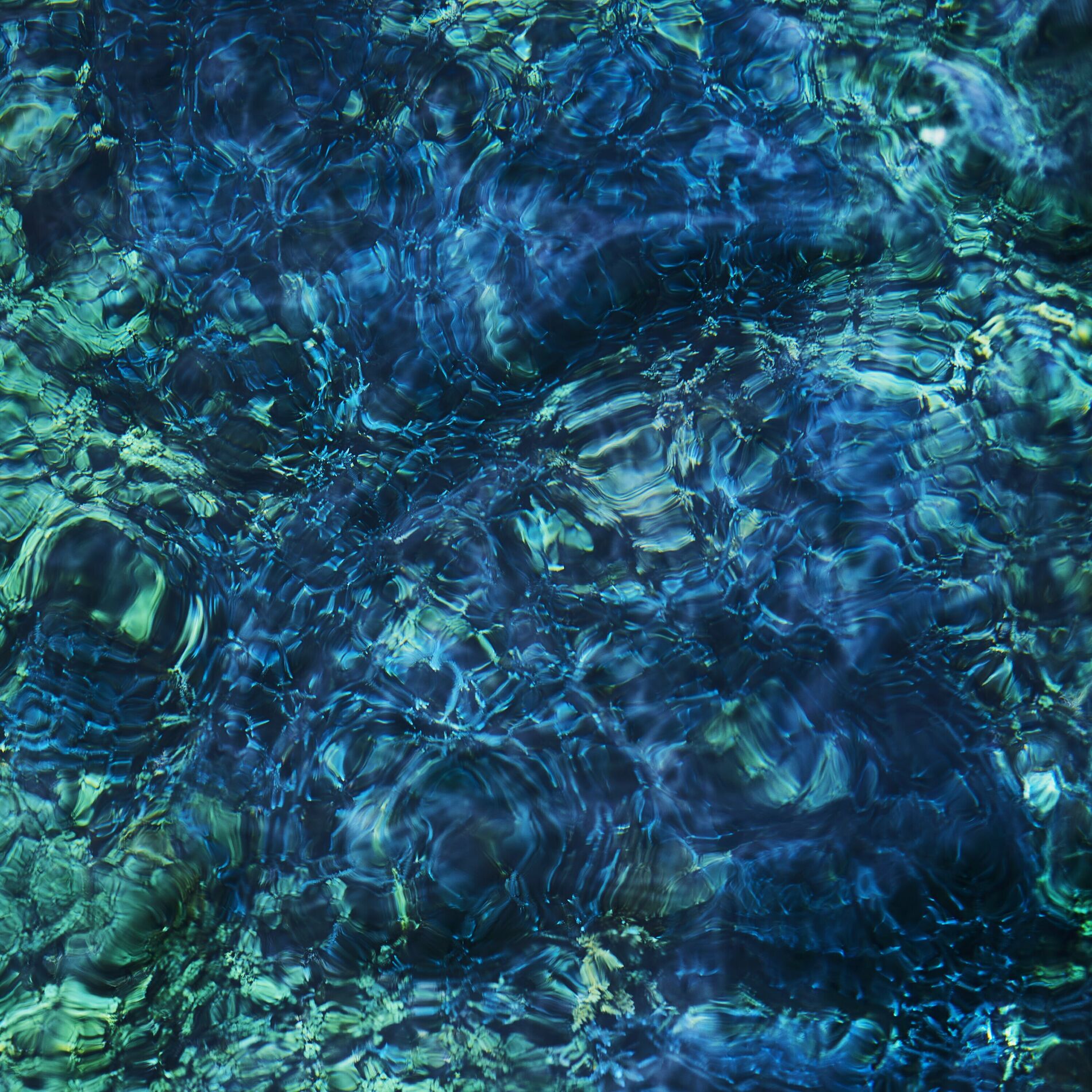 Album cover of COLORATURA