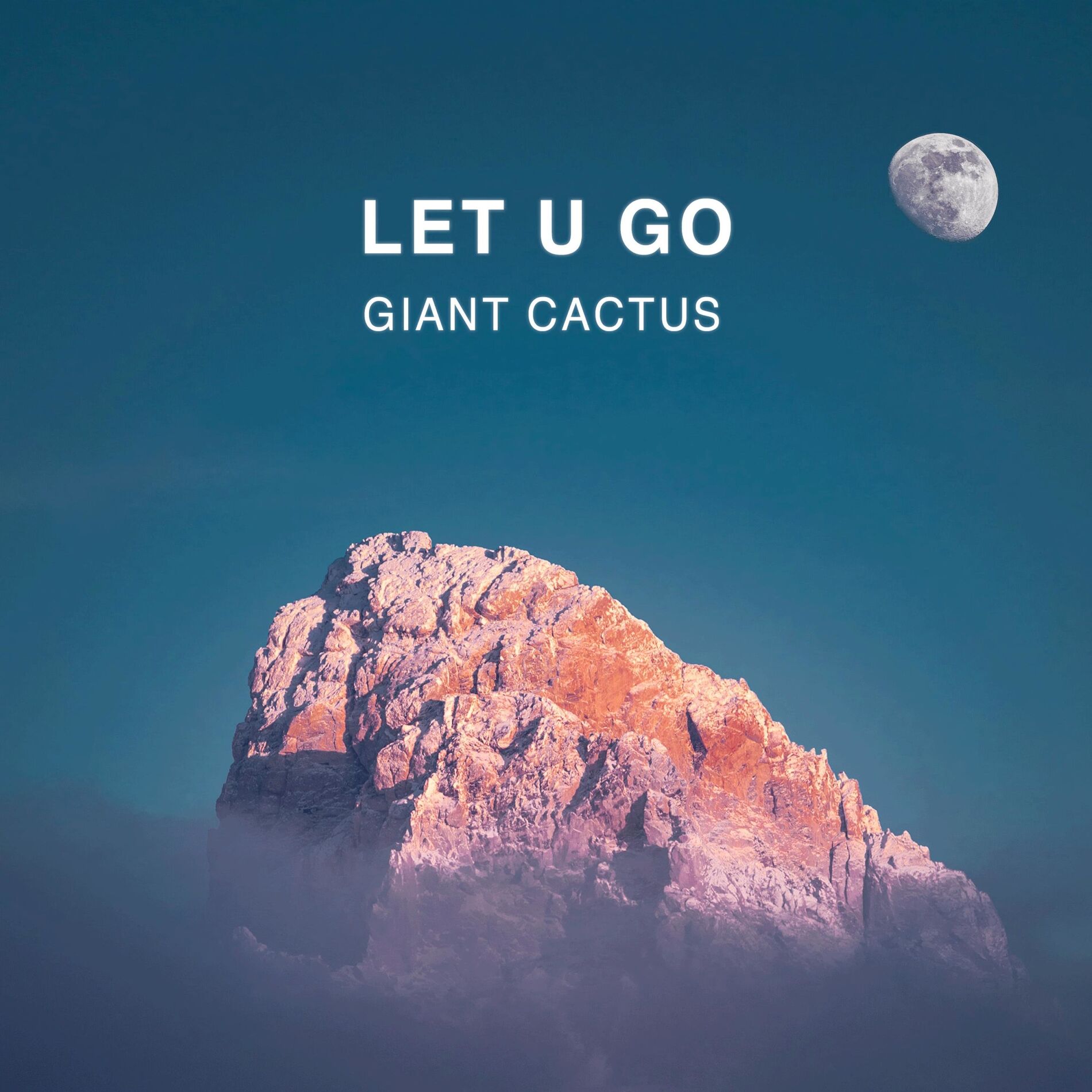 Album cover of let u go